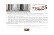 com V01 - Light Beyond the Trees