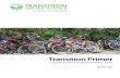 Transition Primer US v2.0