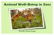 Animal Well-Being in Zoos