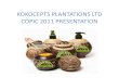 Kokocepts Presentation for COPIC 2011