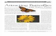 Kentucky; Attracting Butterflies with Native Plants