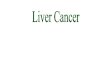 14558715 Liver Cancer