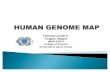 Human Genome Map