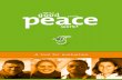 What is Good Youth Peace Work Toolkit