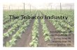 The Tobacco Industry