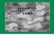 Weed Management in Turf