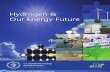 Hydrogen Energy Future PDF