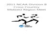 NCAA Midwest Region Championships-LSSU Itinerary