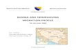 Bosnia Emigration[1]