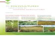 Polycultures in Modern Agriculture