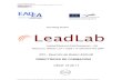 Spanish LeadLab Guidelines
