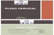 Plexo Cervical- 20011