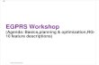(E)GPRS Workshop Introduction Functionality