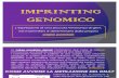 [2009-2010] Seminari - Imprinting Genetico (Faraci, Iraci, Giadone)