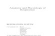 Anatomy and Physiology of Respiration