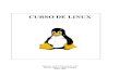Curso de Linux Completo