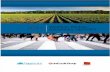World Retail Banking Report 2011