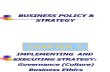 02-Implementing and Executing Strategy Governance