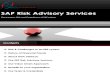 SAP Risk Advisory Services