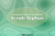 CDS__Scrub Typhus