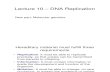 15 Lecture 10 (DNA replication)update