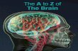 The a to Z of the Brain - BOOK