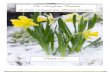 The Morrighanic Tradition Newsletter  ezine Imbolc Issue 2011  our first issue