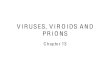 Viruses,Viroids and Prions-Part 1 AU10-1