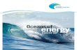 European Ocean Energy Roadmap 2010