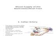 Anatomy, Lecture 12, Blood Supply of the Gastrointestinal Tract (Slides)