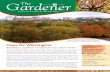Fall 2008 the Gardener Newsletter, Delaware Center for Horticulture