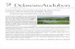Spring 2009 Delaware Audubon Society Newsletter
