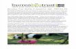 September 2009 Burrenbeo Trust Newsletter