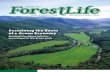 ForestLife - Summer 2010 Newsletter