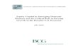 Equity Capital in Emerging Domestic Markets and Its Critical Role in Driving Growth - NAIC and BCG Jul-2009