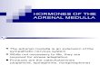 Hormones of the Adrenal Medulla 1-13