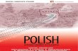 Digital Landscape: Poland 2008