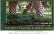 Natural Florida Landscaping by Dan Walton and Laurel Schiller