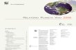Relatório Planeta Vivo 2006 (WWF - Global Footprint Network)