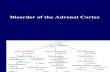 Disorder of the Adrenal Cortex (MKEB2404)