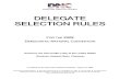 DNC Delegate Selection Rules 2008