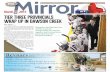 The Mirror March 27 2015