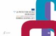 La protection sociale en Belgique : données Sespros de la Belgique 2011