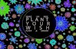 Plant your Wish!