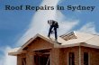 Roof  Repairs in Sydney