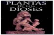 PLANTA DE LOS DIOSES "las fuerzas magicas de las plantas alucinogenas"