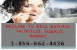 DELL Printer Techical Help #1-855-662-4436 DELL Printer Tech Support Number