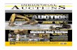 Auction issue 6 11 15