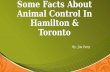 Some Facts About Animal Control In Hamilton & Toronto