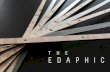 The Edaphic (Final Presentation, Studio Air)